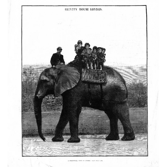 Ксилография д002. Слон. Англия. 1850-е.