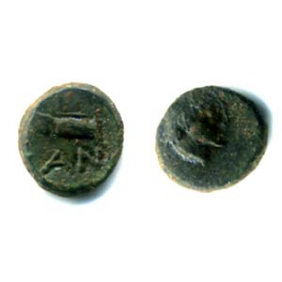 Пантикапей. 2 монеты. Бронза. 2-й век до р.Х.