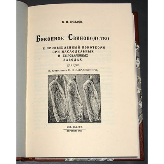 Беконное свиноводство. Козлов В.Н. 1928. РЕПРИНТ