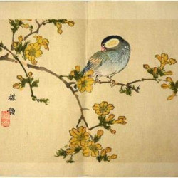 Коно Байрей. Птицы (1). Цветная ксилография. Япония. 1893. ПРОДАНО