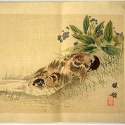 Коно Байрей. Птицы (4). Цветная ксилография. Япония. 1893 г.