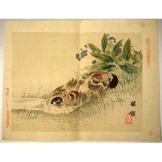 Коно Байрей. Птицы (4). Цветная ксилография. Япония. 1893 г.
