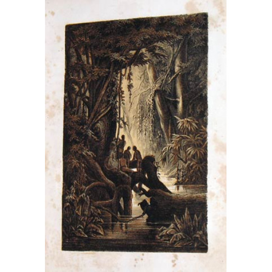 Майн Рид. Водою по лесу. Молодые невольники. 1869. Изд. Вольфа