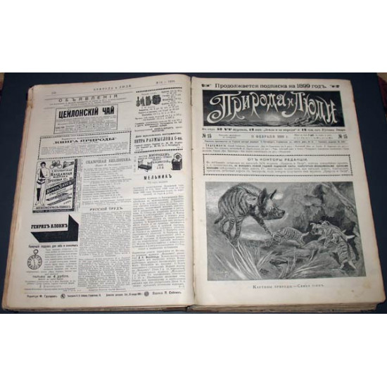 Природа и люди. Журнал. Годовой комплект. 1899 год.