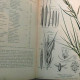 Кормовые травы. Изображения и описания. 1 и 2 т. 1898, 1901 гг. Изд. Девриена. 