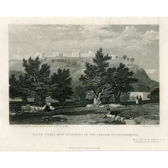 Старинная гравюра "Современный вид Гефсиманского оливкового сада". Англия. 19 в.